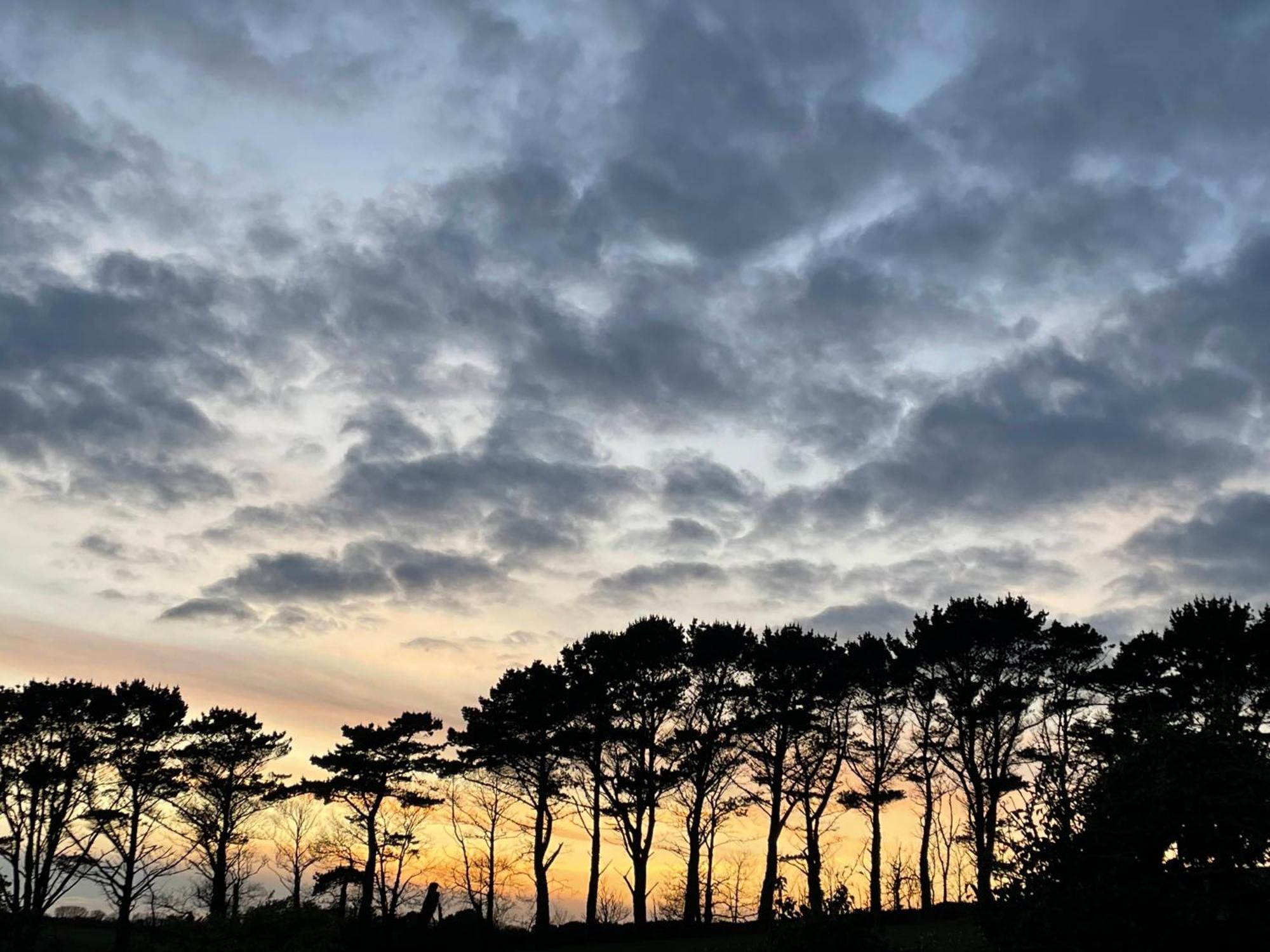 Fowey River Views エクステリア 写真